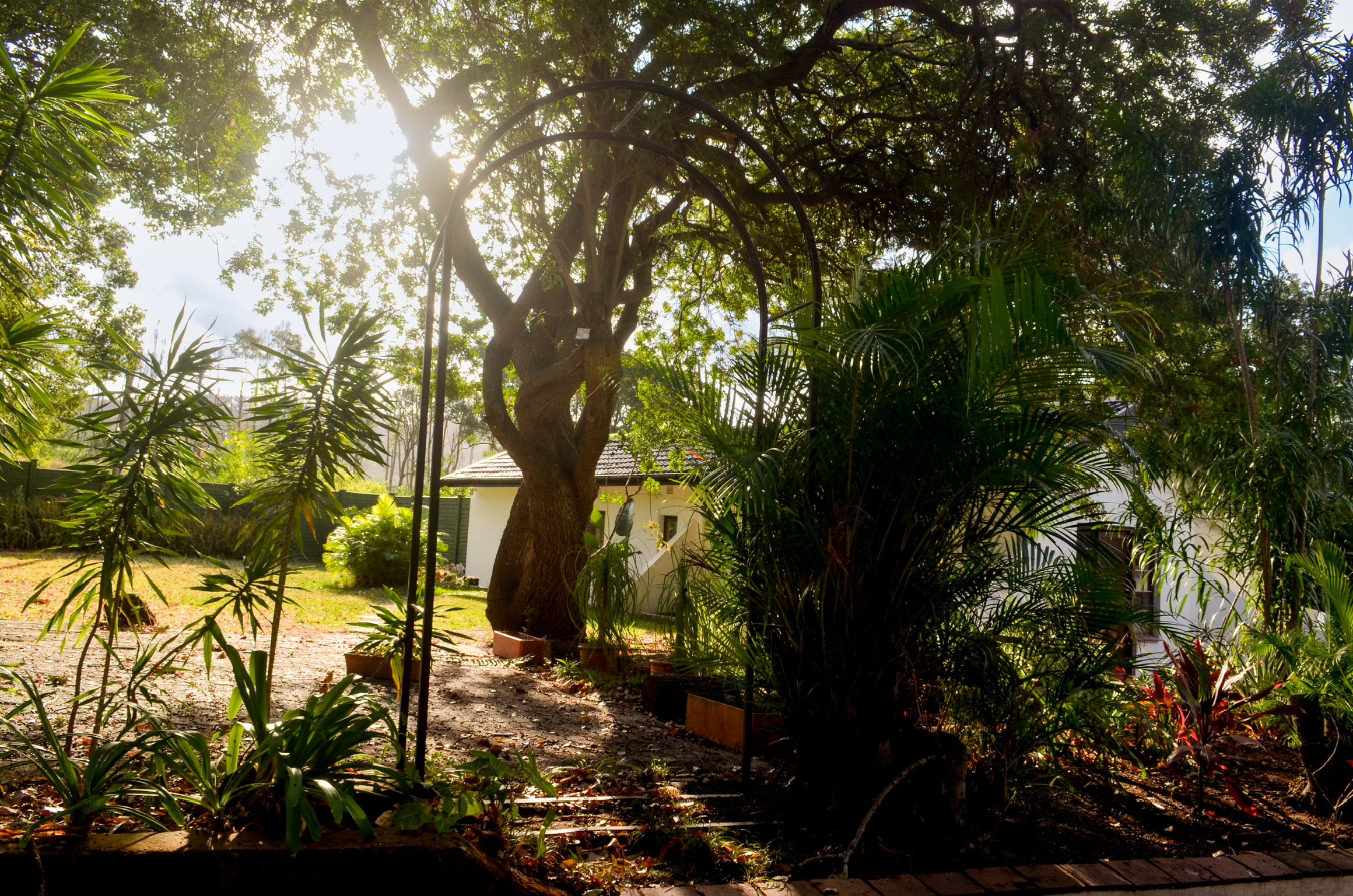 Lush gardens at The Meadow Manor
